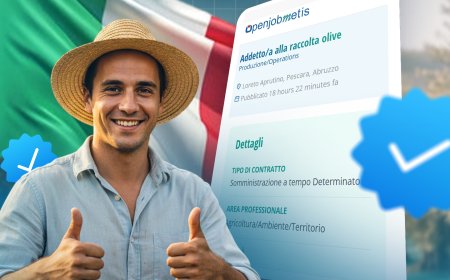 إيطاليا تعلن عن فرص عمل موسمية 2025 في جني الزيتون: عقود قانونية للعمال الأجانب