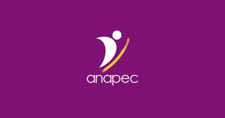 ANAPEC Casa recrute 100 employés polyvalents – Casa Nouacer