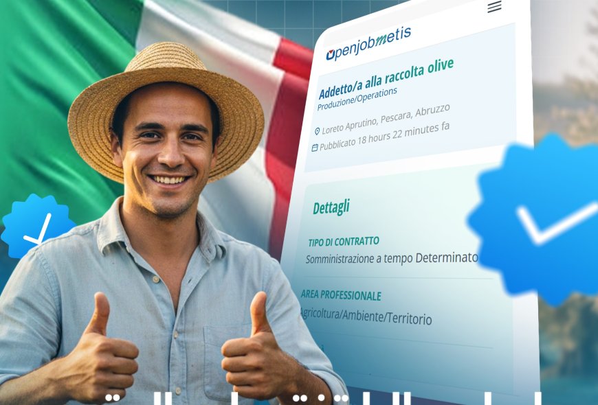 إيطاليا تعلن عن فرص عمل موسمية 2025 في جني الزيتون: عقود قانونية للعمال الأجانب
