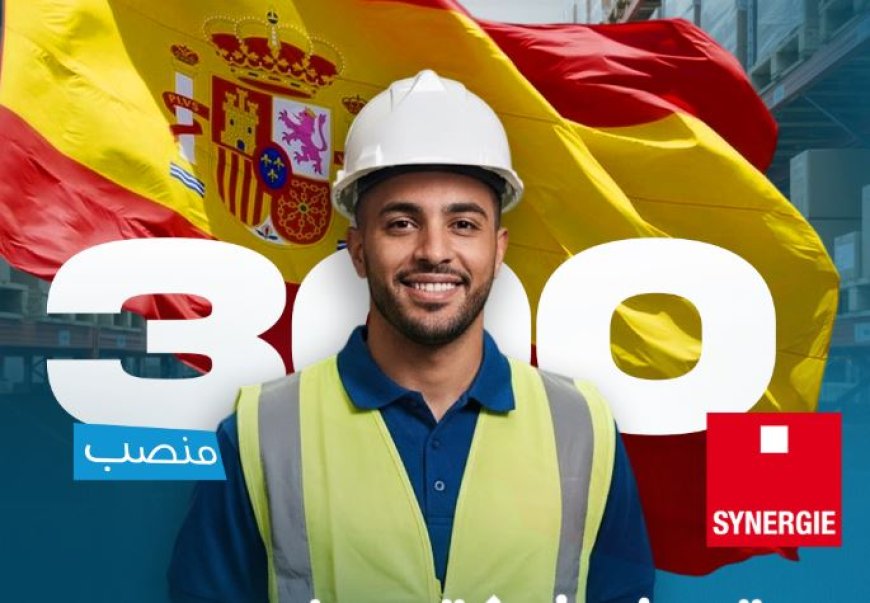 شركة سينرجي تعلن عن 300 وظيفة في إسبانيا 2025: فرص عمل في المستودعات ومعارض الطعام