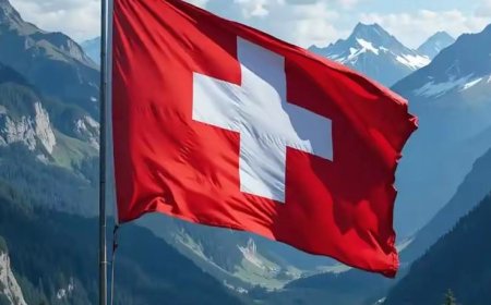 التسجيل بالعمل التطوعي في سويسرا 2026 عبر منظمة SCI