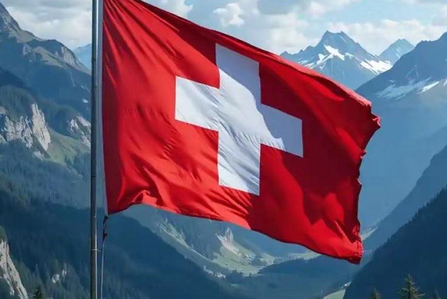 التسجيل بالعمل التطوعي في سويسرا 2026 عبر منظمة SCI