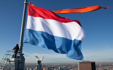 فيزا هولندا 2026 للمهاجرين ذوي المهارات العالية: طريقك للعمل والإقامة القانونية في أوروبا